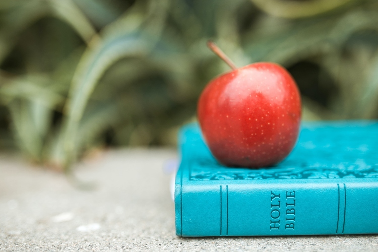 apple and bible-bible verses on health